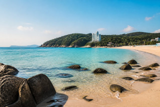 비 오는 창의 물방울